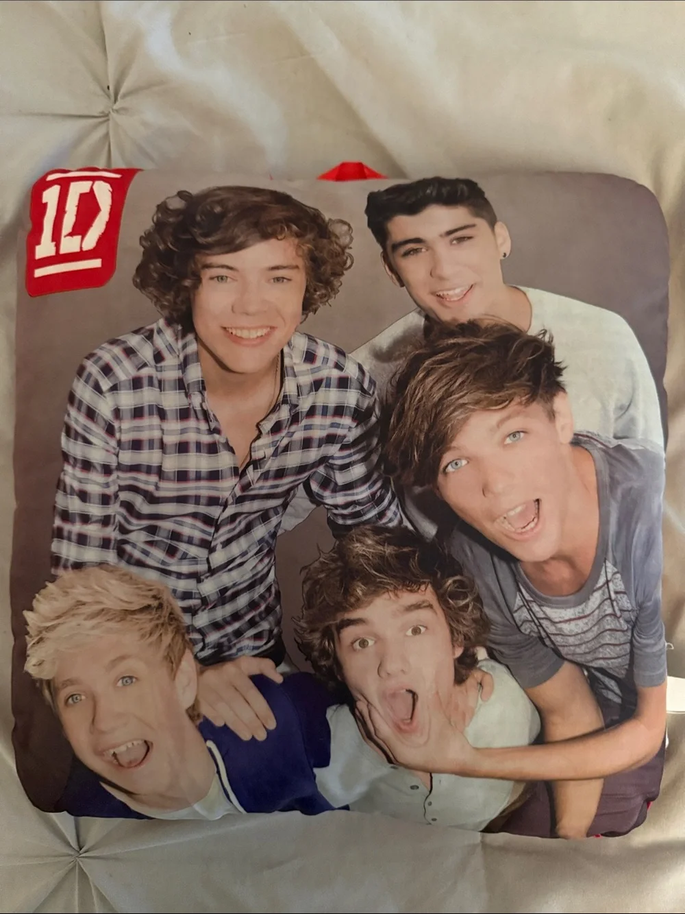 One Direction Photo Pillow - Multicolor Band Print